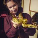 distorted-hallucinations avatar