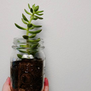 distracted-by-unicorns avatar