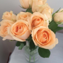 distracted-ly avatar