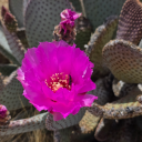 distractedfuninthdesert3 avatar