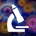 distractedpremed avatar