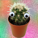 distractionpie avatar