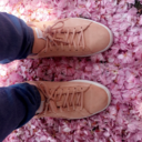 distressindisguise avatar