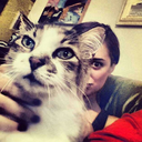 distressofnostalgia-blog-blog avatar