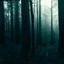 districtsleepsalonetonight avatar