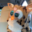 distroughtfurby avatar