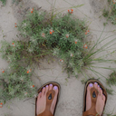 ditches-stitches avatar