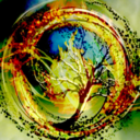 divergent-trilogy avatar