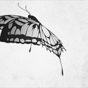 diversifiedxsouls avatar