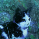 dividedskiesrp avatar