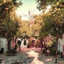 dividers-galore avatar