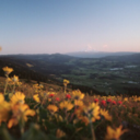 dividetimpera avatar