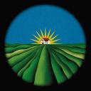 divinationcruelty avatar