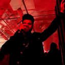 divine-knowledge avatar