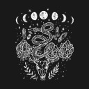 divineetiquette avatar