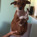 divinendlessness avatar