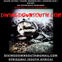 divingdownsouth avatar