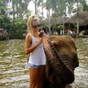 divingwith-elephants-blog avatar