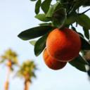 divinityhappiness avatar