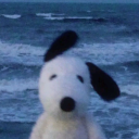 divinomaravilhoso avatar