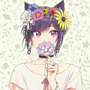 dixie-the-pixie avatar