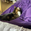 dizzy-anxious avatar