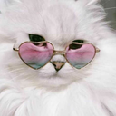 dizzy-carosaul avatar