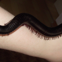 dizzytogetpretty avatar