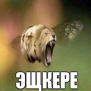 djaidoacioakd avatar