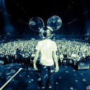 djseventeen avatar