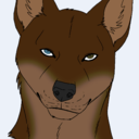 dk-gshep avatar