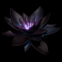 dlotusblossom avatar