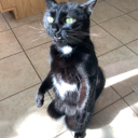 dlsciplekinsmate avatar