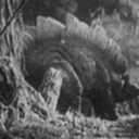 dmmusings-blog avatar