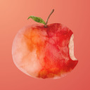 dnrarepairweek avatar