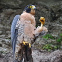 dntwrry-behppy-blog avatar