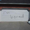 do-iwanna-know2 avatar