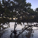 do-not-say-my-name avatar