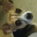 do-you-how-do avatar