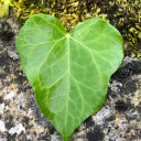 do19dy46-blog4 avatar