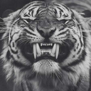 doandomemorias avatar