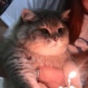 doaow avatar