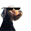 doberdale avatar