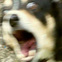 doblocopropaint-blog avatar