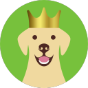 dobradorsmiley avatar