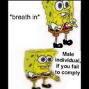 docta-equinox avatar