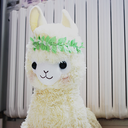 doctor-charlie avatar