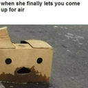 doctor-dredre avatar