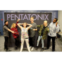 doctor-hoolock avatar