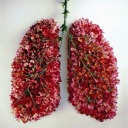 doctordoctorstrange avatar